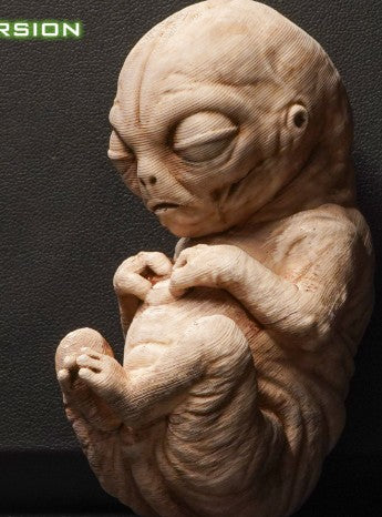 Alien Embryo III — Organic Fetus Specimen | Greywater Labs Recovered Materials Collection