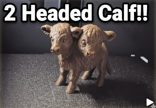 Two-Headed Calf | Greywater Labs Recovered Materials Collection