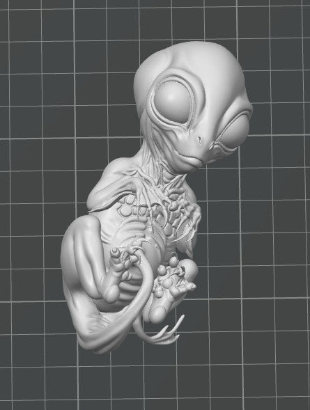 Alien Embryo | Greywater Labs Recovered Materials Collection