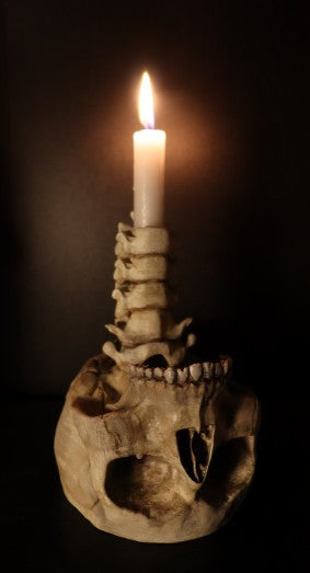 Skull candle holder with spine column and taper candle lit