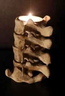 Spine & Skull Candleholder Set - detail of skull base with jawbone