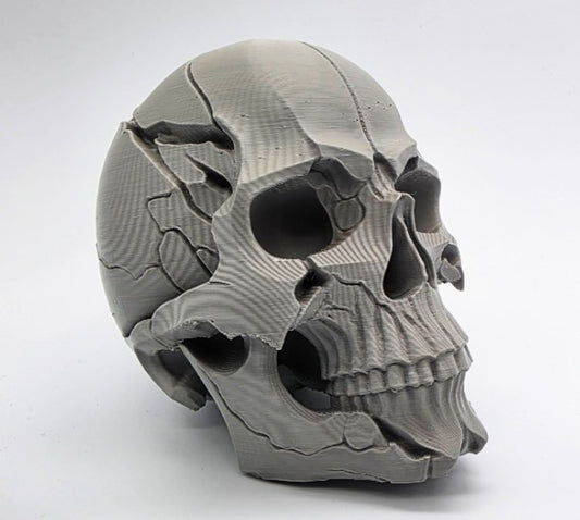 Cracked Human Skull | Greywater Labs Recovered Materials Collection