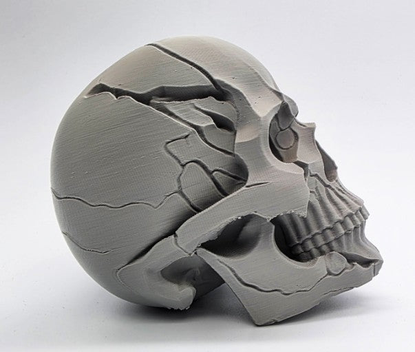 Cracked Human Skull | Greywater Labs Recovered Materials Collection