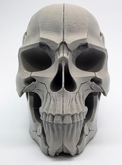 Cracked Human Skull | Greywater Labs Recovered Materials Collection