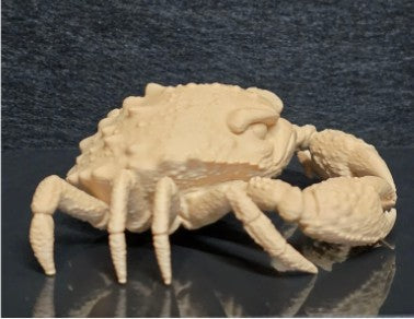 Grumpy Crab — Deep Sea Specimen | Greywater Labs Recovered Materials Collection