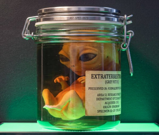 Alien Embryo II — Grey Fetus Specimen | Greywater Labs Recovered Materials Collection