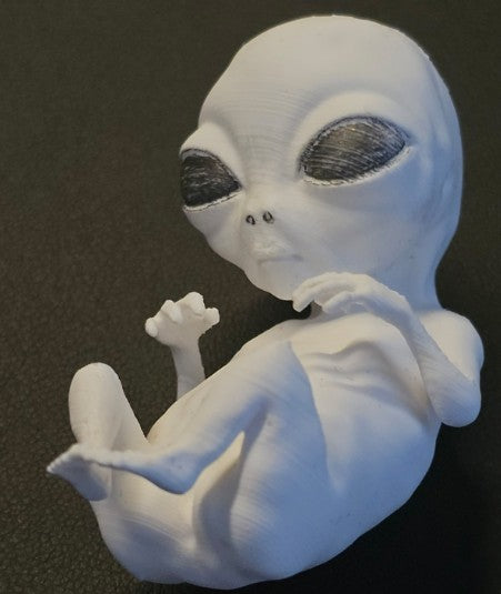 Alien Embryo II — Grey Fetus Specimen | Greywater Labs Recovered Materials Collection