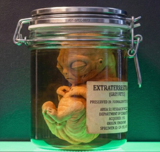 Alien Embryo Triptych | Greywater Labs Recovered Materials Collection