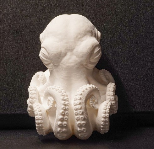Extraterrestrial Cephalopod | Greywater Labs Recovered Materials Collection