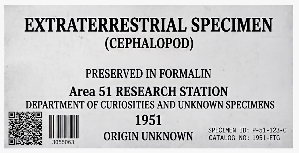 Extraterrestrial Cephalopod | Greywater Labs Recovered Materials Collection
