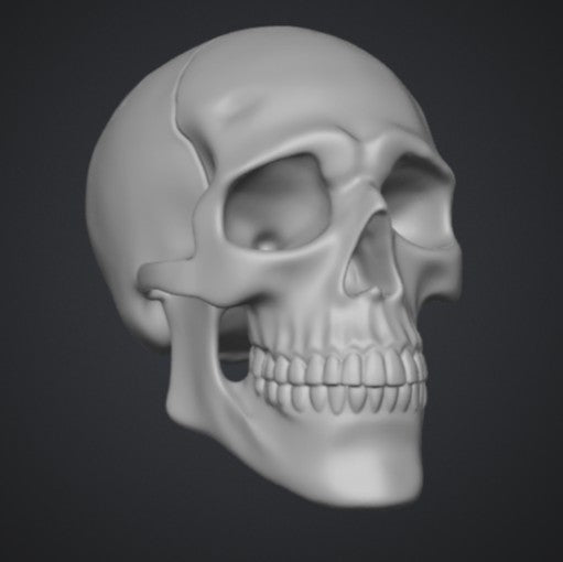 The Skull Vault | Greywater Labs Recovered Materials Collection